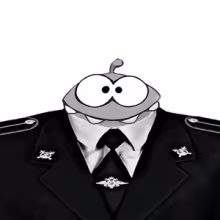 Avatar kapillargd