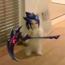 Avatar katalgg
