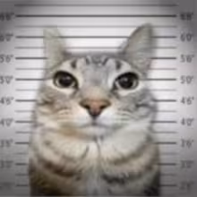 Avatar kochaca_miata