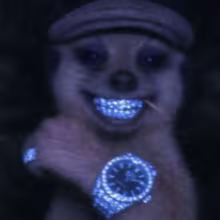 Avatar kononvaa
