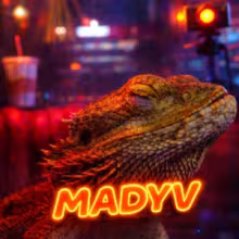 Avatar madyv67