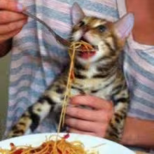 Avatar moooooooooooooooooony