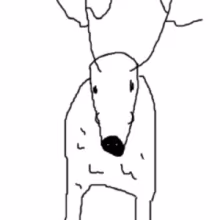 Avatar myasodlyaplova