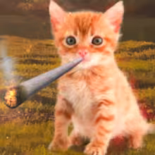 Avatar sandowch