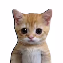 Avatar shantaya69