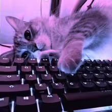 Avatar tronchik109