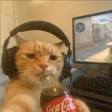 Avatar ttchipsiktt