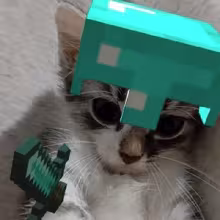 Avatar viktor_bro2278