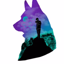 Avatar vldmdr