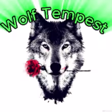 Avatar wolftempestuk