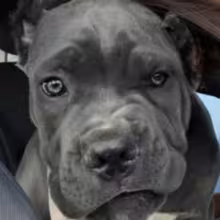 Avatar yarikbebrik777